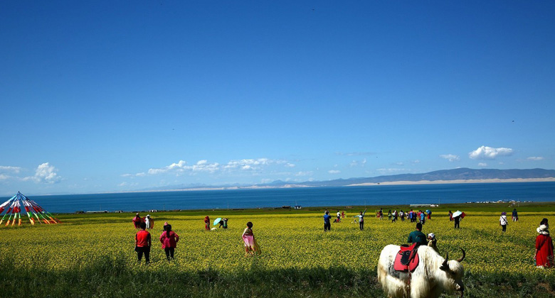 Ein Besuch des Qinghai-Sees lohnt sich während Ihres Aufenthalts in Xining auf jeden Fall