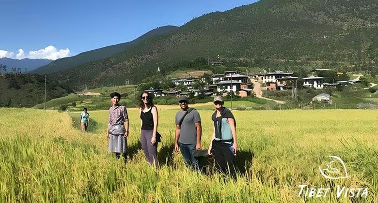 Terrassen-Reisfelder in Bhutan w&auml;hrend der Sommermonsunzeit