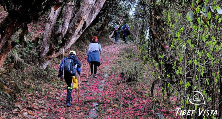 Wanderung von Paro nach Thimphu