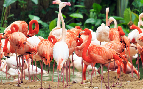 9 Tage Guangzhou, Xi'an und Lhasa Tour mit dem Zug