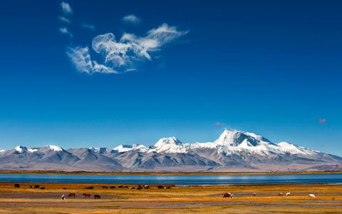 17-tägiges Abenteuerreise Kailash & Manasarovar & Guge Königreich