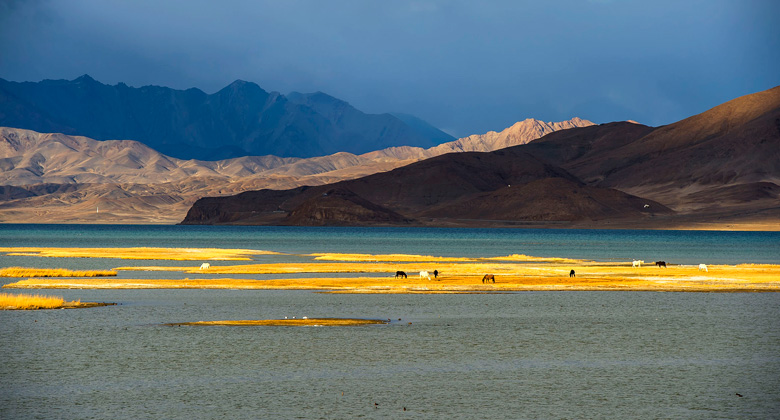 Pangong Tso