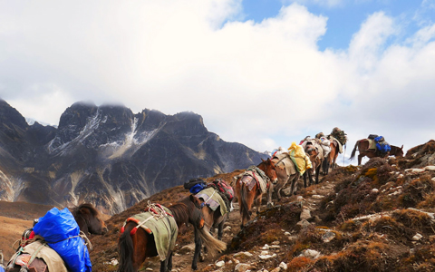 3 Tage Bumthang Owl Wanderung
