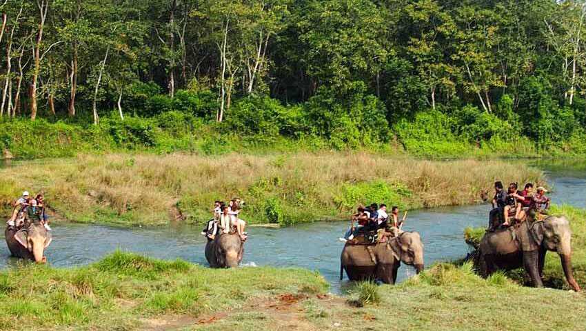 Royal Chitwan National Park