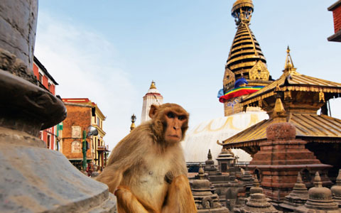7 Tage Kathmandu nach Pokhara Tour