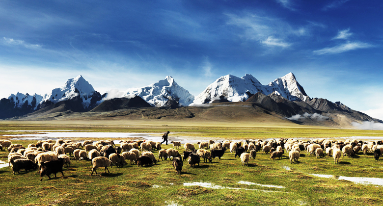  Himalaya