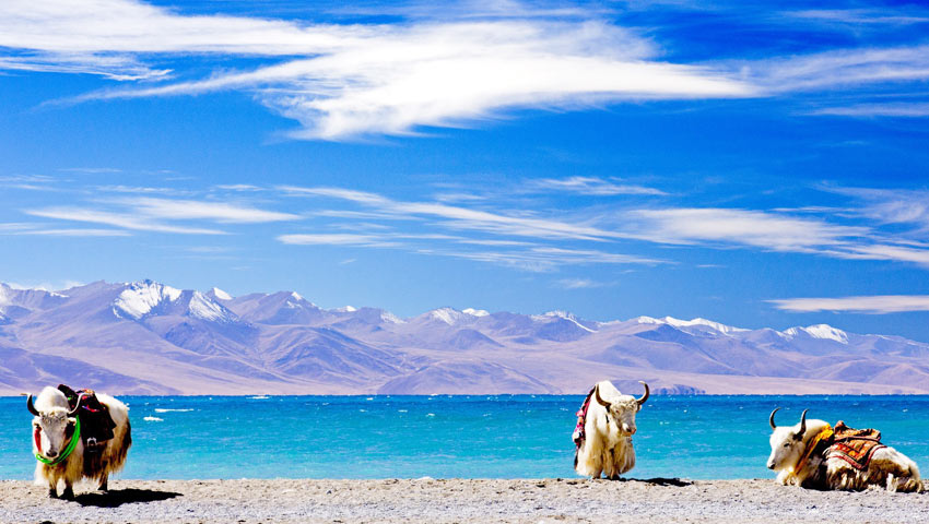 See Namtso