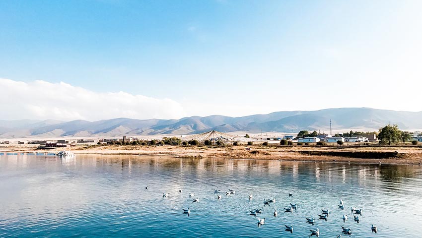 Qinghai See