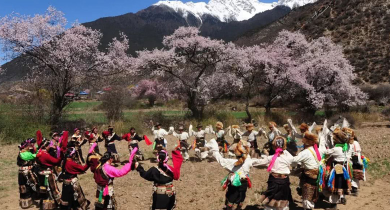 Pfirsichblütenfestival in Nyingchi