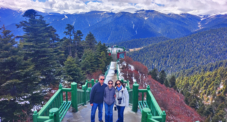 Lulang-Wald in Nyingchi