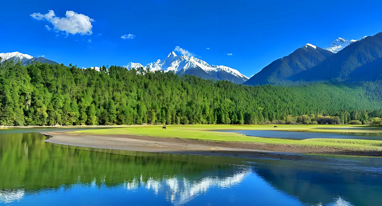 Nyingchi, die &bdquo;Schweizer Alpen Tibets&ldquo;