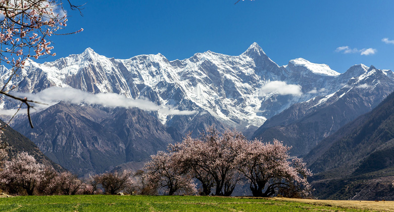 Suosong-Pfirsichblüte und Namjagbarwa-Gipfel in Nyingchi