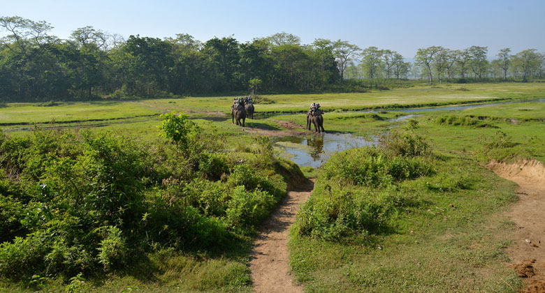 Nepal Chitwan Nationalpark