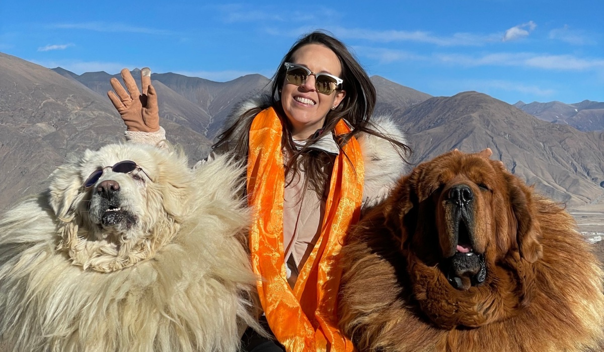 Reisende mit tibetischen Mastiffs in Tibet