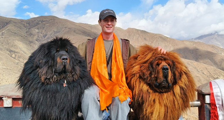 Foto mit tibetischen Mastiffs