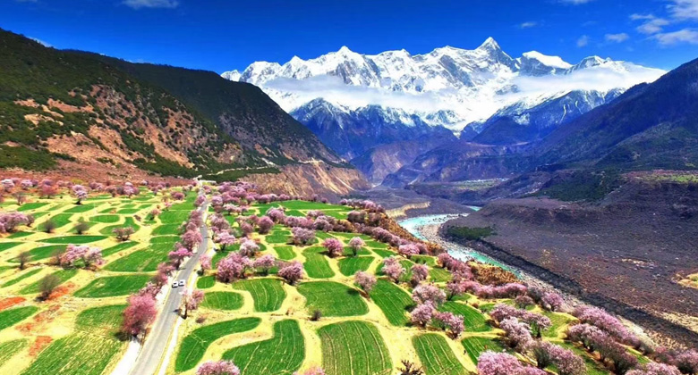 Pfirsichblüte in Nyingchi, Tibet im April