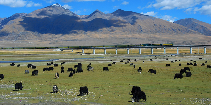 8-tägige klassische Reise von Xining via Namtso nach Lhasa