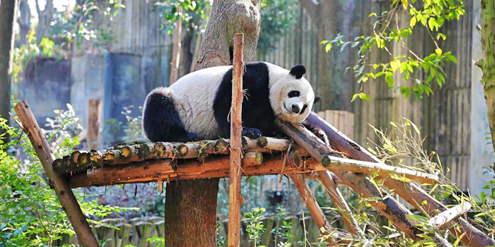 11 Tage Klassisch Chengdu und Lhasa zur EBC Tour via Qinghai-Tibet Eisenbahn