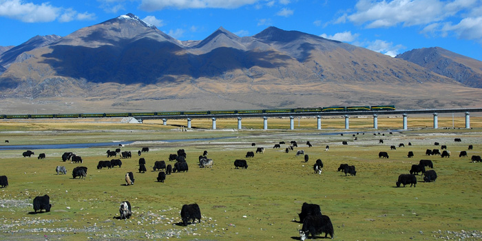 11 Tage Chengdu und Lhasa Welt Kultur Erbe Tour
