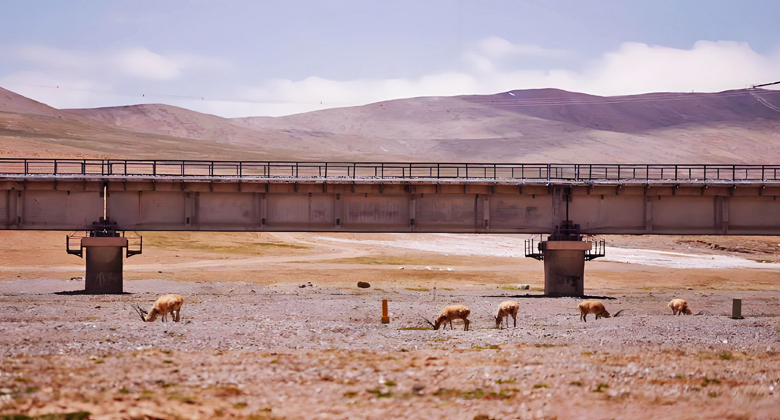 Weite Hochplateau-Landschaft in der Region Hoh Xil entlang der Qinghai-Tibet-Bahn