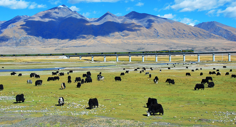 Weite Graslandschaften Nordtibets entlang der Qinghai-Tibet-Bahn bei Nagqu