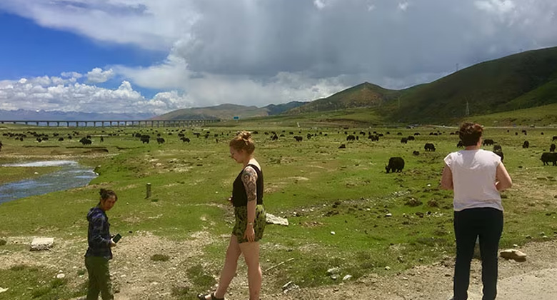 Die Grasländer von Nagqu in Tibet