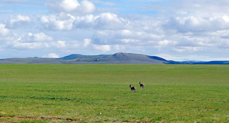 Das unberührte Grasland von Ngari in Westtibet